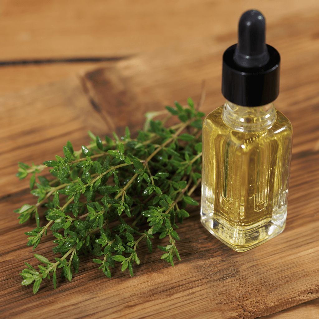 Les vertus du thym : un allié naturel pour renforcer vos défenses immunitaires