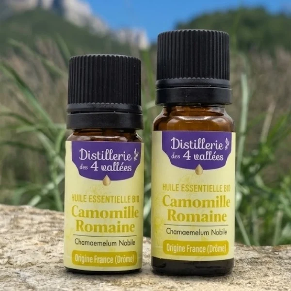Huile essentielle de camomille romaine Bio - Flacon codigoutte