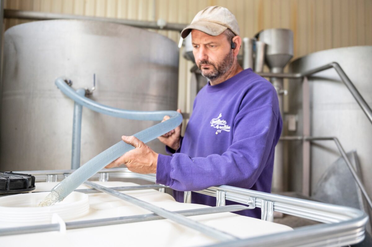 Distillation d'huile essentielle de lavande par Maxime, producteur et distillateur en Drôme